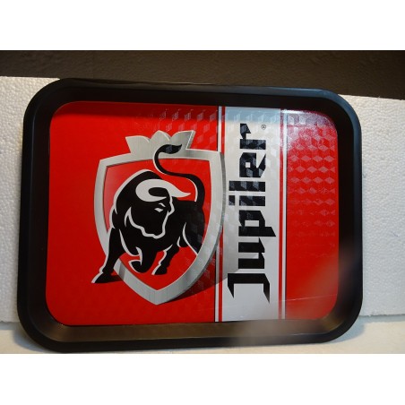 PLATEAU JUPILER  34CM X26CM