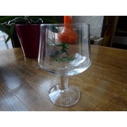 6 VERRES QUINTINE  25/33CL...