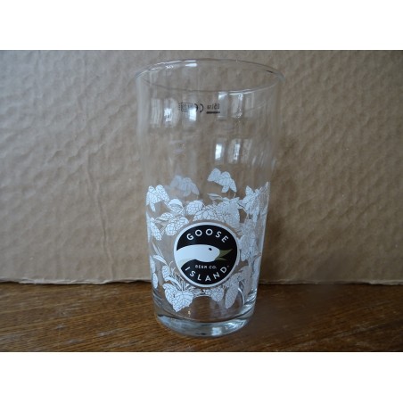 6 VERRES GOOSE 50CL AVEC DECORS  HT 15CM